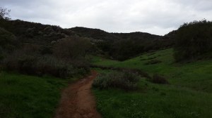 10952253_10153615284679832_3935870333060021855_n