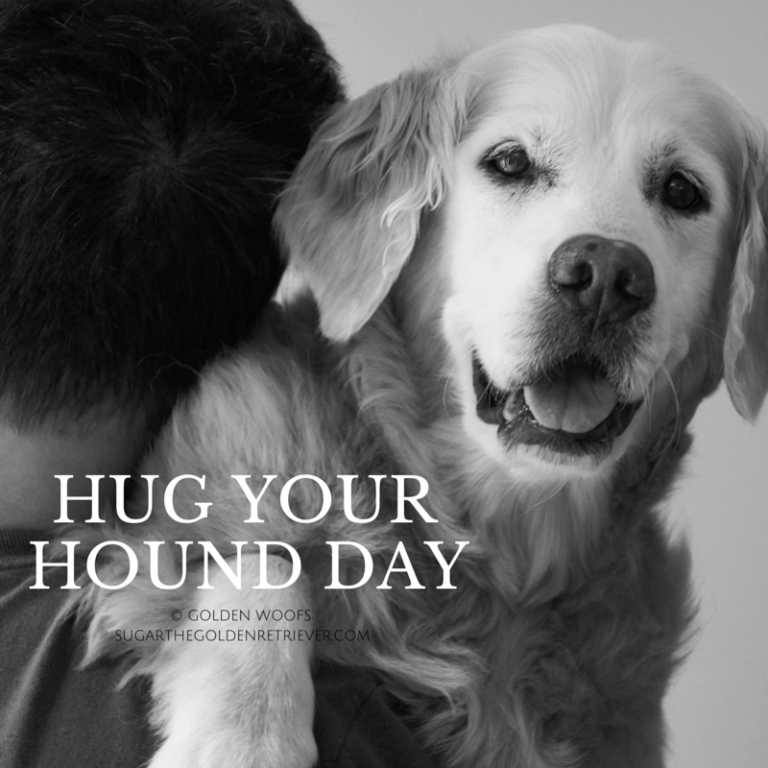 hugyourhounday.png